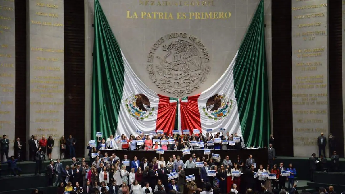 pleno camara de diputados daniel hidalgo